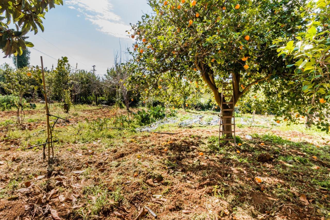 Villa Rosa Near The Sandy Beach, Parking & Wifi Noto Exterior foto